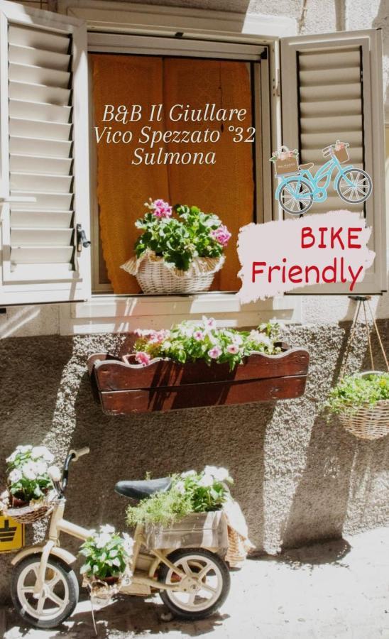 B&B Il Giullare Sulmona Exteriör bild