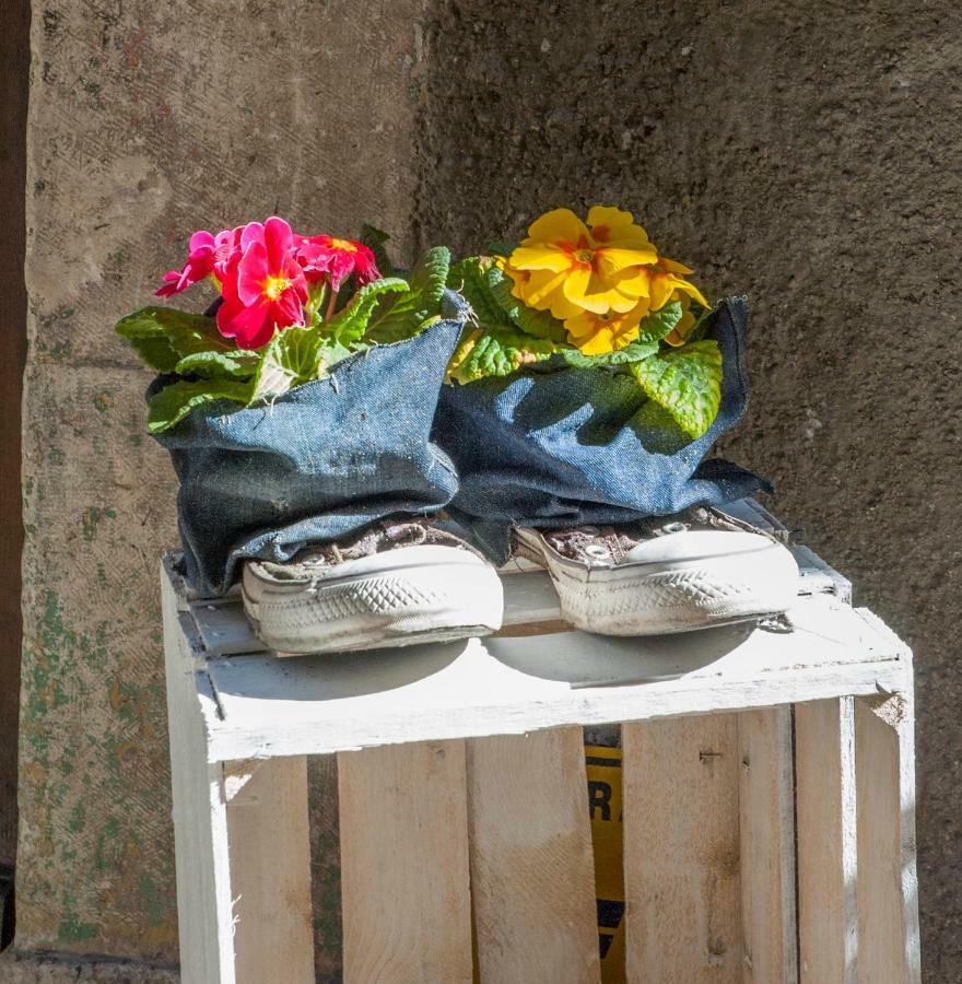 B&B Il Giullare Sulmona Exteriör bild